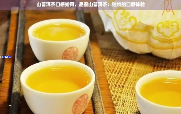 横断山普洱茶的品质、口感和冲泡 *** 详解：一份全面指南