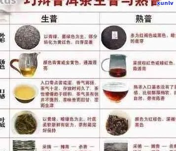 横断山普洱茶的品质、口感和冲泡 *** 详解：一份全面指南