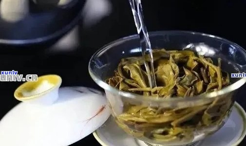 普洱茶泡法及时间解析：如何正确冲泡普洱茶以充分展现其口感和品质？