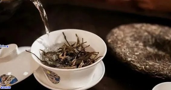 普洱茶泡几泡合适？如何掌握泡茶的技巧？