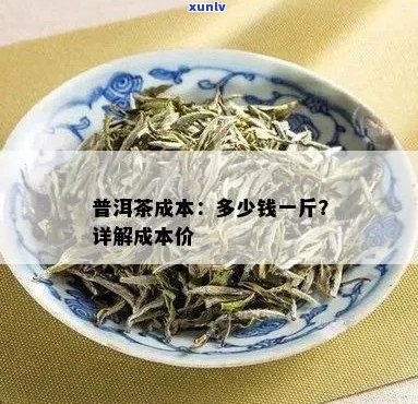 勐海普洱茶价格：每一斤的具体成本分析及其影响因素