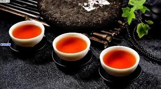 品尝普洱茶的魅力：如何选择、冲泡、品鉴与享受一杯完美的普洱茶