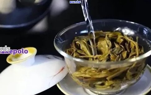 品尝普洱茶的魅力：如何选择、冲泡、品鉴与享受一杯完美的普洱茶