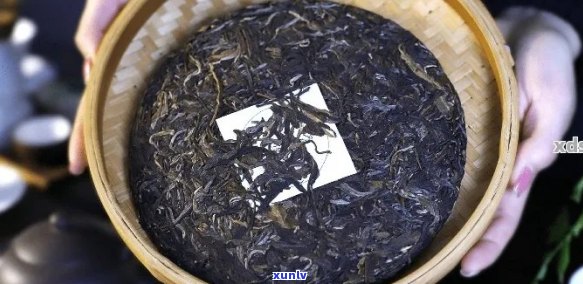 一年普洱生茶保存期及品饮 *** 全面解析，你了解了吗？