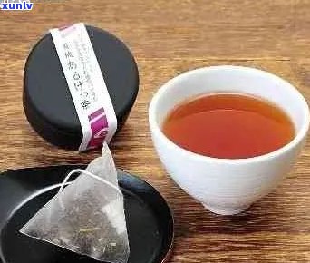 人喝的老普洱茶是什么茶？