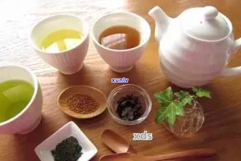 人喝的老普洱茶是什么茶？