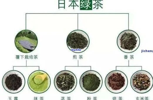 人喜欢喝的老普洱茶品种及其名称