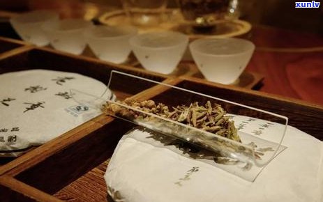 人普洱茶怎么喝？人喜欢喝普洱茶吗？