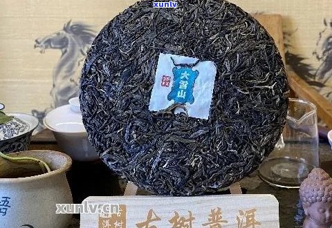 人喝的老普洱茶