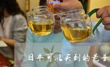 人喝的老普洱茶