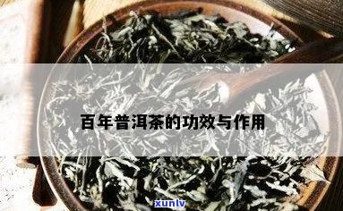 百年普洱茶的功效与作用及价格查询