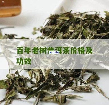 百年普洱茶的功效与作用及价格查询