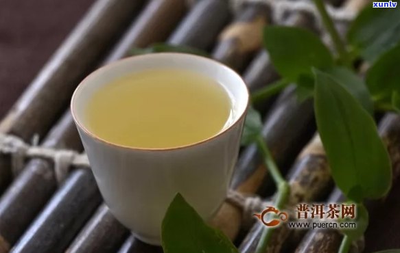 育发名茶：普洱茶的魅力与创新之路