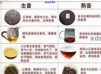 红标聘普洱茶真实性与品质分析：一篇全面解答所有疑问的文章