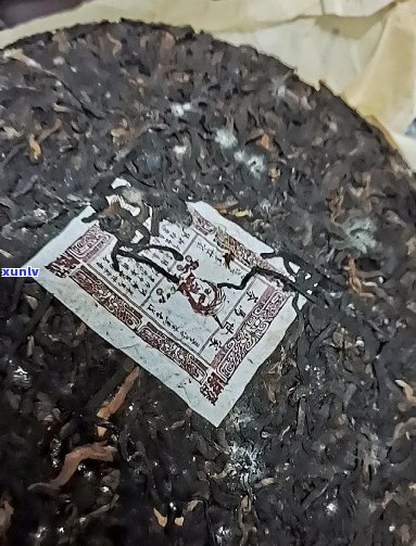 普洱茶饼一面发霉啦