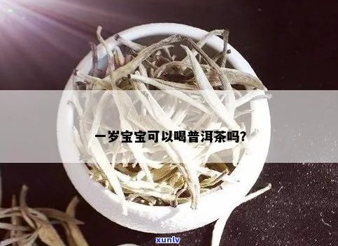 普洱茶孩子能喝吗？一岁小孩适合喝吗？早上可以喝吗？小孩可以吃吗？