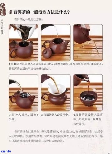 从选购到冲泡：全面掌握普洱茶的品饮技巧与 *** 