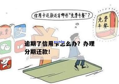 信用卡逾期10几个账号