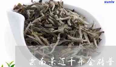 千两金普洱茶多少钱