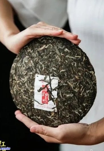 红印普洱茶：品鉴与鉴，探寻古树茶的魅力