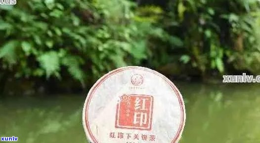 红印普洱茶：品鉴与鉴，探寻古树茶的魅力