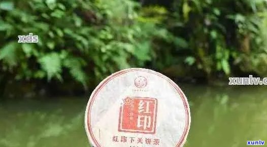 了解红印普洱茶市场价格，如何选择适合您的普洱茶？