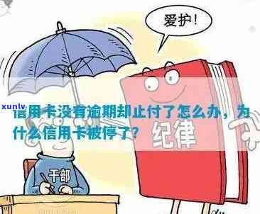 没有逾期信用卡显示止付怎么回事：为何信用卡被停用、冻结或核销？