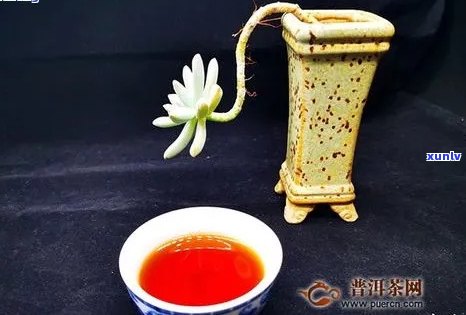 红印普洱茶：生茶还是熟茶？历、意义和价格全解析