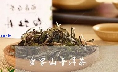 雾露山普洱茶：口感醇厚，回味悠长，上品之选