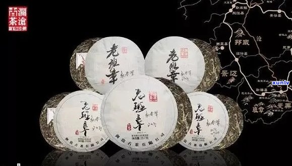 新 百福行普洱茶：源自云南的独特风味，滋味浓厚，回味悠长