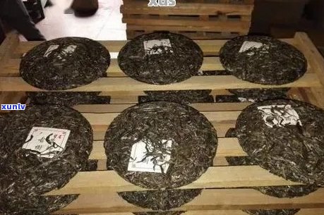 普洱茶存放 *** ：干燥箱是否适用？