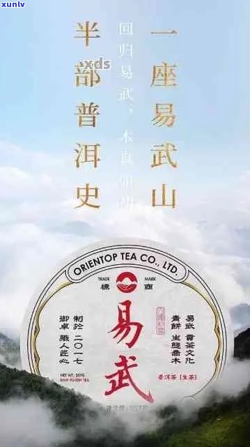 易武古树普洱茶：品质、历与收藏价值全面解析