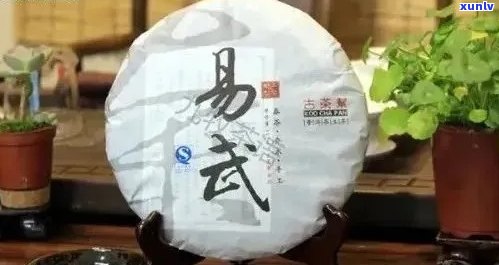 易武古树普洱茶：品质、历与收藏价值全面解析