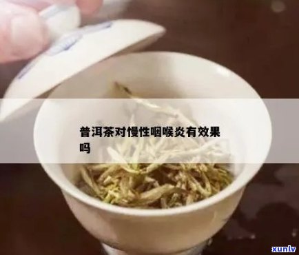 普洱茶对慢性咽喉炎的治疗效果及其原因分析