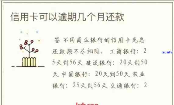 逾期信用卡还款及恢复时间，新规定和利息计算方式