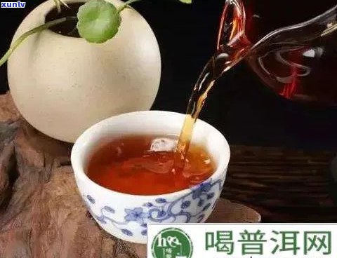 普洱茶的枣香与樟香：探寻茶香中的韵味与层次