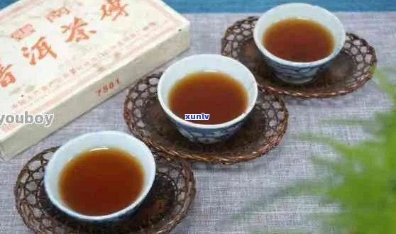 普洱茶是越放越好喝吗？为什么？