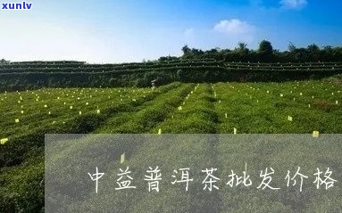 中益普洱茶一箱多少钱？中益普洱茶一箱多少斤？中益普洱茶一箱多少盒？