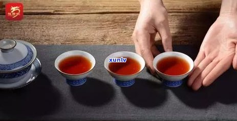 详细步骤：如何泡制出优质的普洱茶？