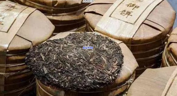 普洱茶饼剪碎保存的艺术：技巧与注意事项