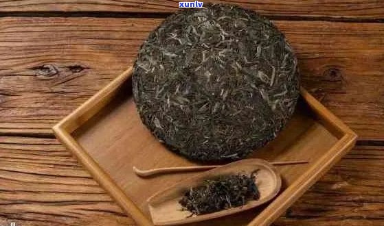 硬普洱茶饼之道：轻松享受醇厚口感