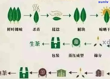 一盒普洱茶：产地、工艺、品质与泡法全面解析