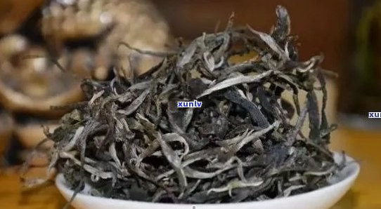 云南四大名茶普洱茶品种及特点：哪四款？哪个好？