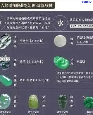 翡翠饰品定价 *** 及专业术语：了解翡翠品质、颜色、工艺等因素影响其价格。