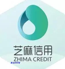 客观信用卡逾期怎么解决的问题