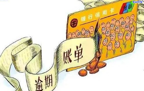 小桔普洱茶的功效、作用及禁忌：全面解析其健益处与潜在风险