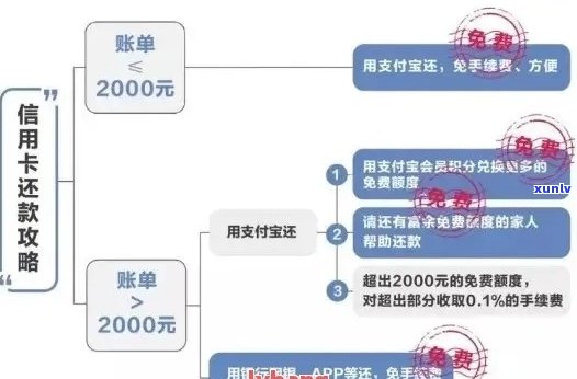 小桔普洱茶的功效、作用及禁忌：全面解析其健益处与潜在风险