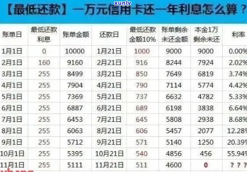 信用卡逾期还款期限长：了解还款年份的相关信息