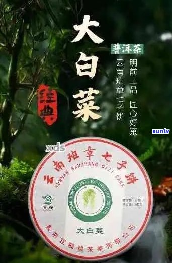 普洱茶大白菜：哪家公司的杰作？