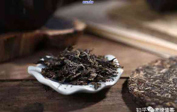 如何选择合适的壶泡普洱茶？从材质、形状和容量角度全面解析